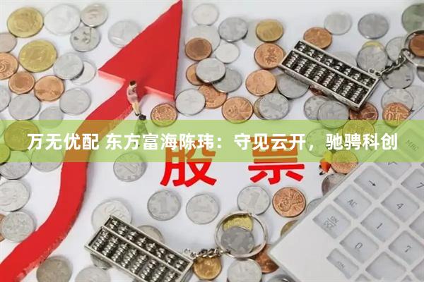 万无优配 东方富海陈玮：守见云开，驰骋科创