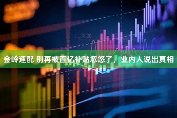 金岭速配 别再被百亿补贴忽悠了,业内人说出真相